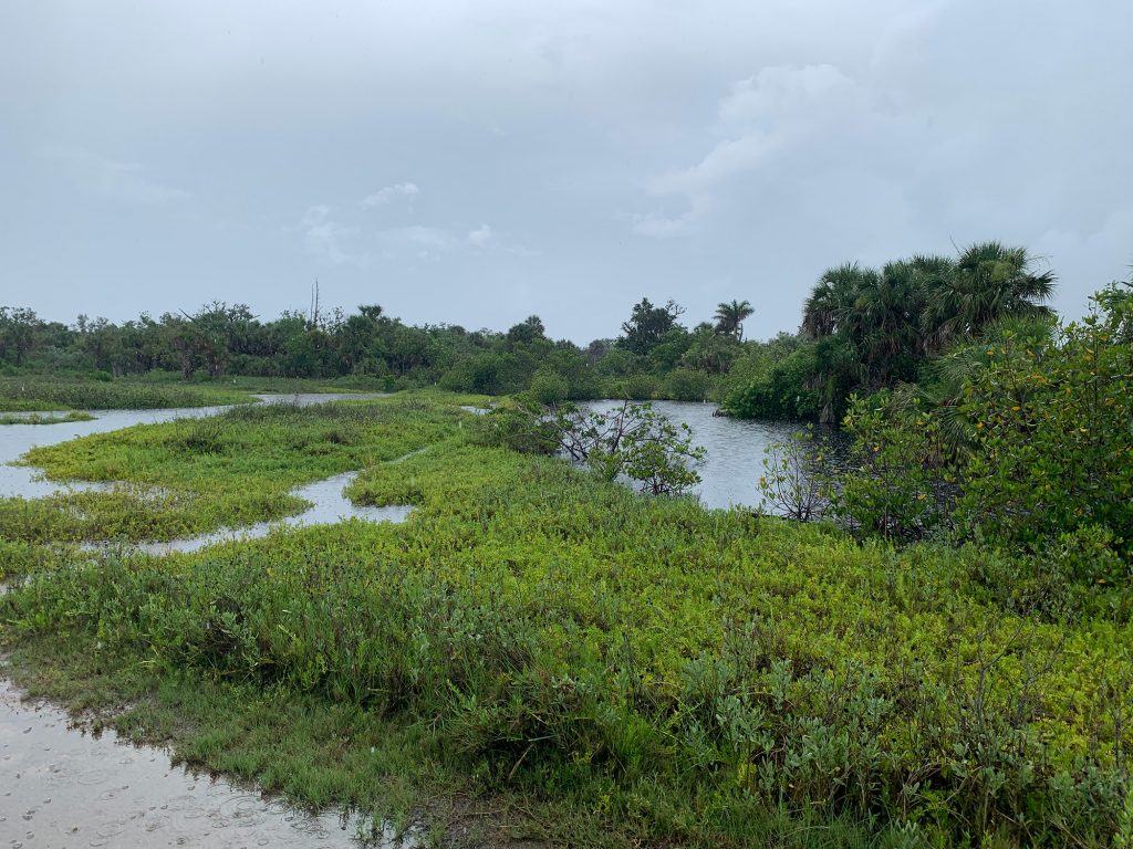 Wetlands and canal at RRC very full with recent rain
