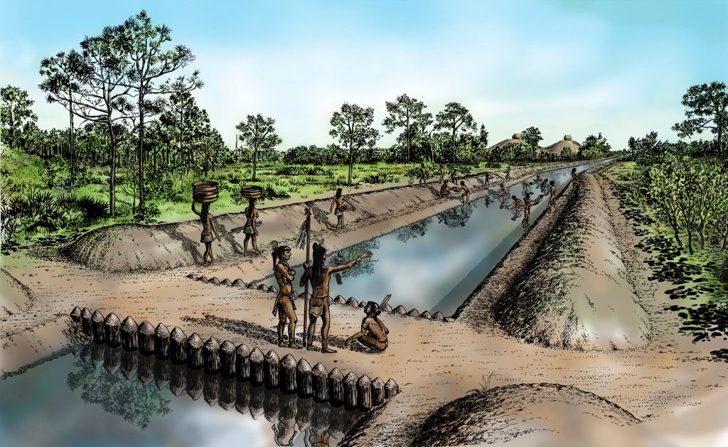 Illustration of Calusa Canals