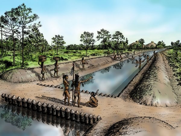 Illustration of Calusa Canals