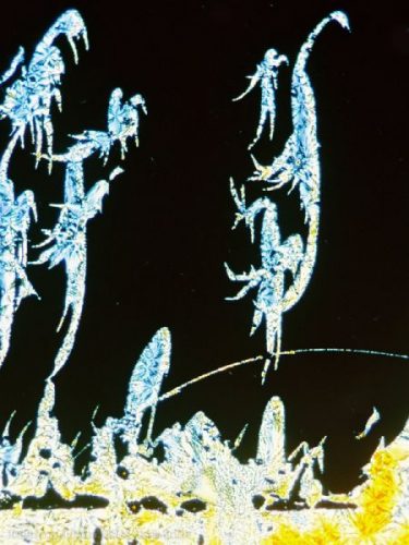 ice crystals that look like fairies