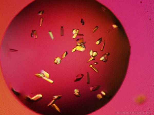 Crystals of a Breast Cancer Drug