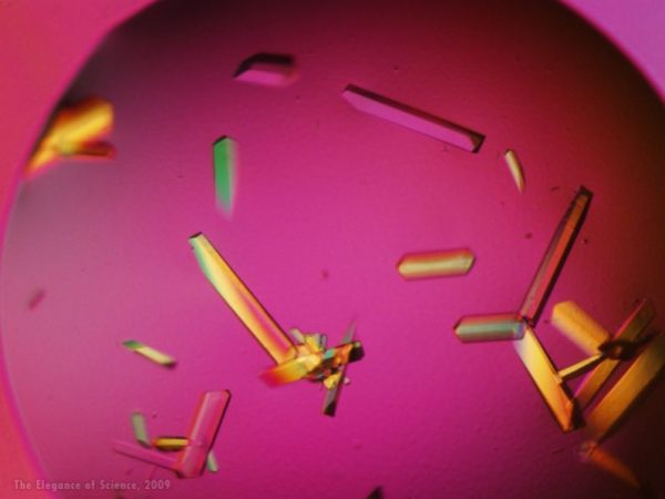 Crystals of a Breast Cancer Drug