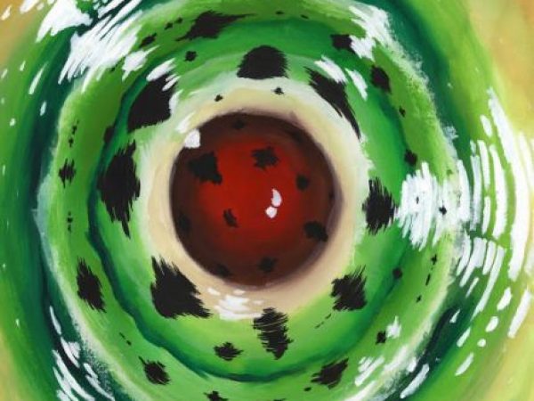 flatworm parasite in snail