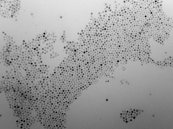 Iron oxide Nanoparticles