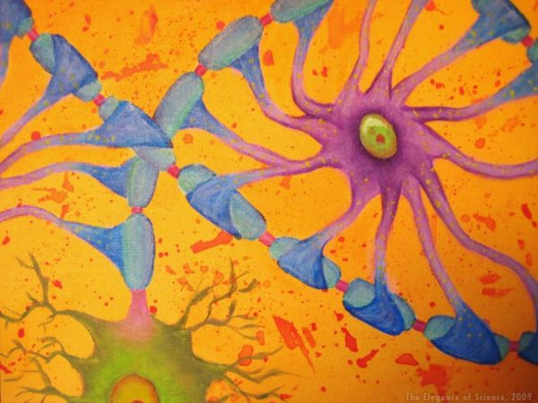 painting of specialized glial cells
