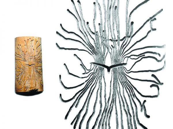 marks of bark beetles in wood