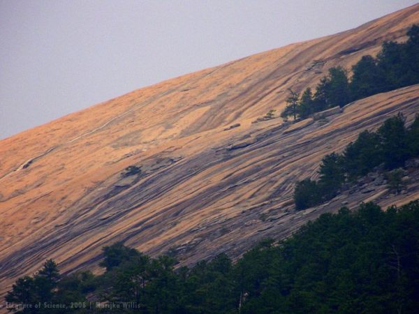 landscape of Stone Mountain