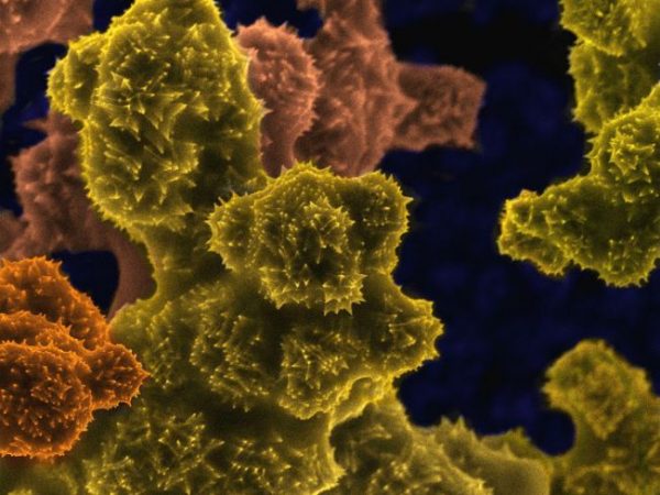 chemical reaction causing an organometallic compound to crystalize