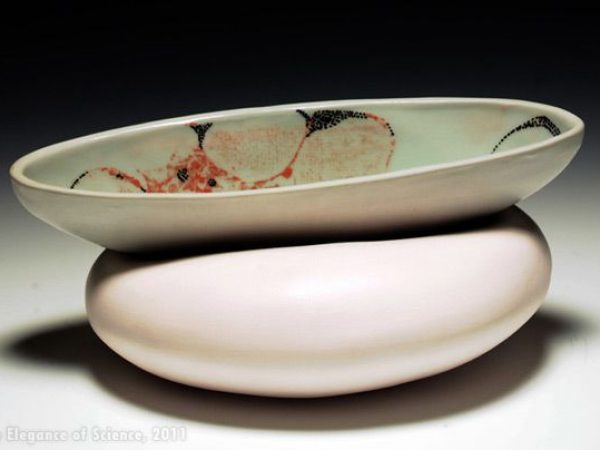 magnified images of tissue painted on ceramic