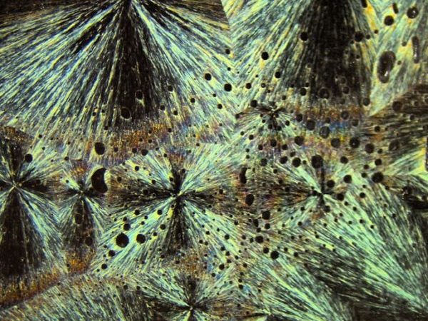 magnification of polymer