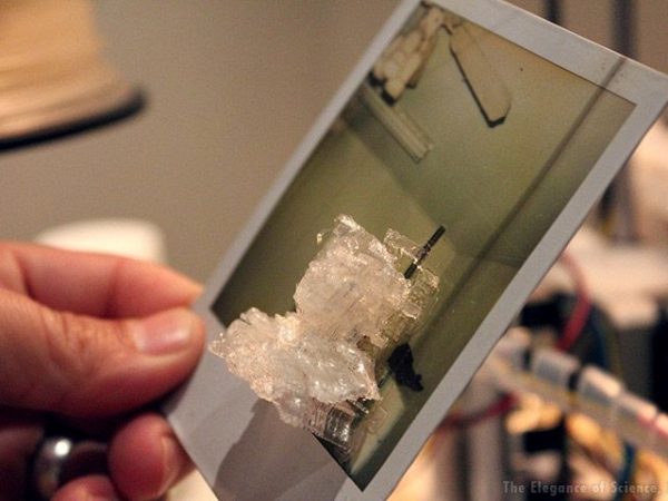 art layering 3-D printed material on a photo