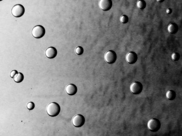 condensation macro photo