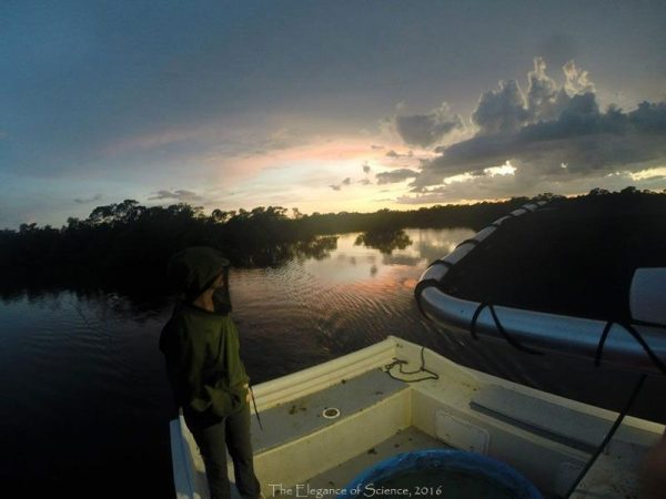 sunset on a lake from a boat