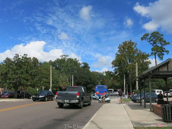 photo of street and traffic