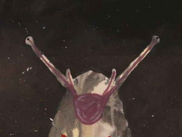 painting of a flatworm