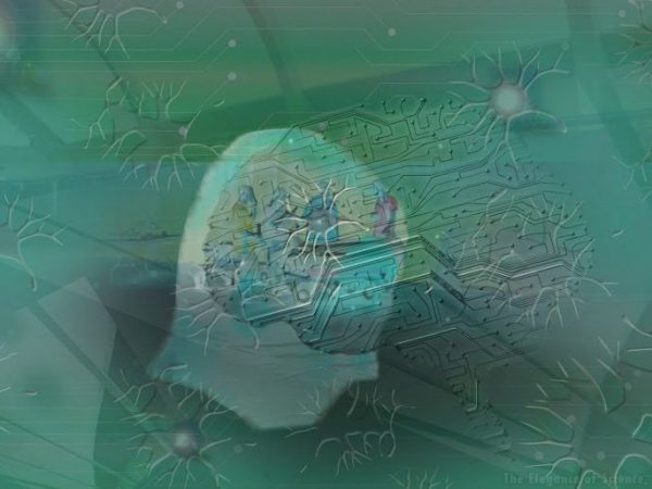 stylized image of circuit board and neurons