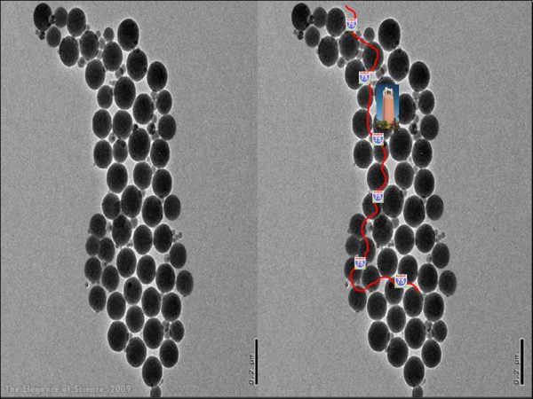 Silica nanoparticles