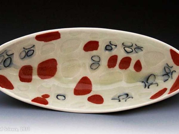 magnified images of tissue painted on ceramic