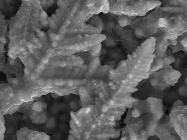 magnification of electroplated nickel