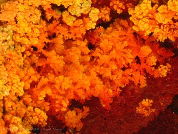 red crystallization of solvent