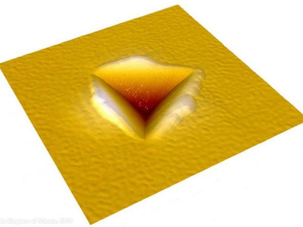 image of microscopic intent