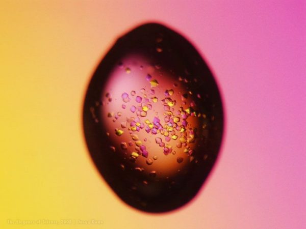 magnification of protein crystals