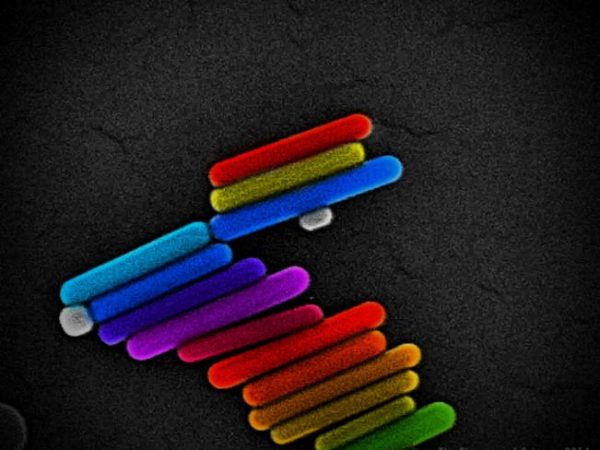 gold nanorods painted in the color of rainbow