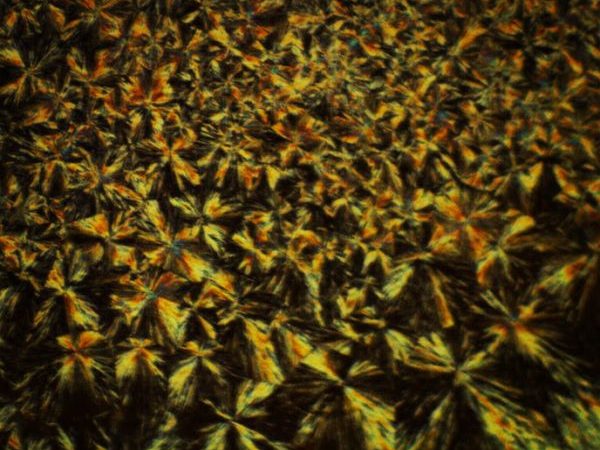 magnification of polymer