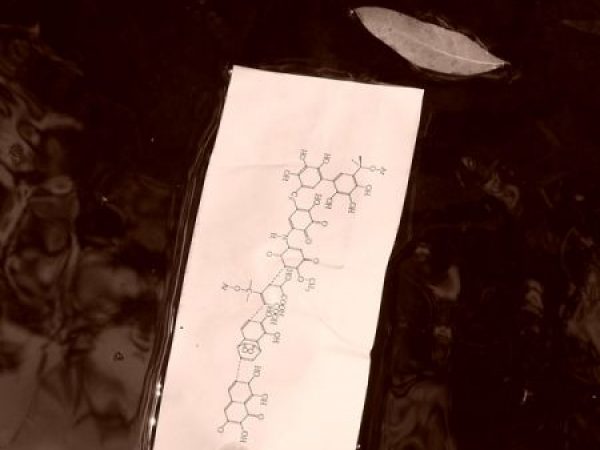 Photo of chemical structure illustration on paper floating in water