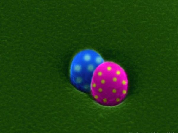 scan of silver coated nano-spheres