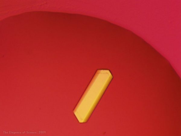 Crystals of a Breast Cancer Drug