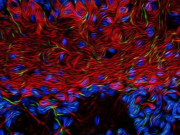 stylized image of olfactory cells