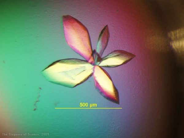 magnification of protein crystals