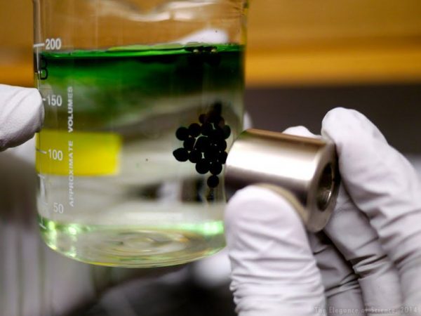 Alginate is a compound derived from algae