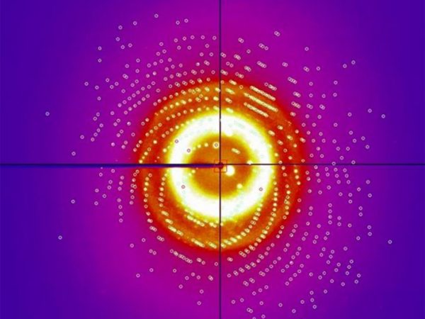diffraction pattern from a single protein crystal