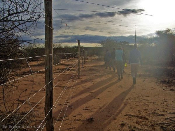 researchers walking along a fence line