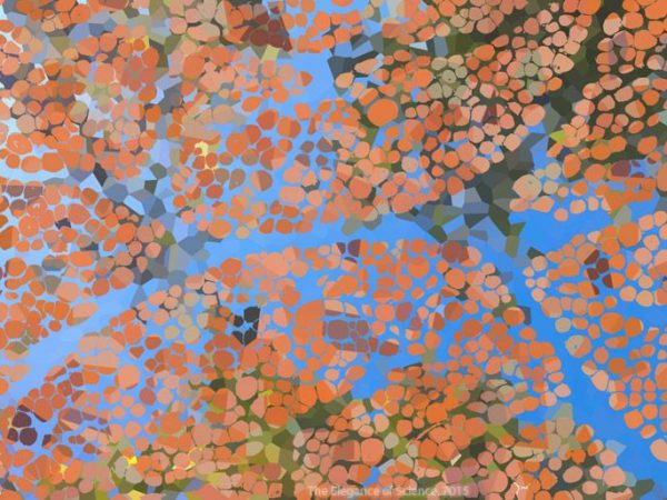 artistic interpretation of dog muscle tissue