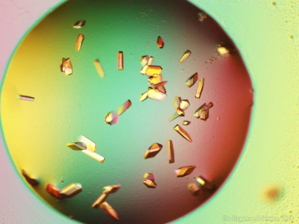 Crystals of a Breast Cancer Drug