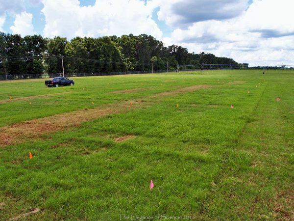 field with blocks of green grass