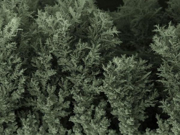 magnification of electroplated nickel