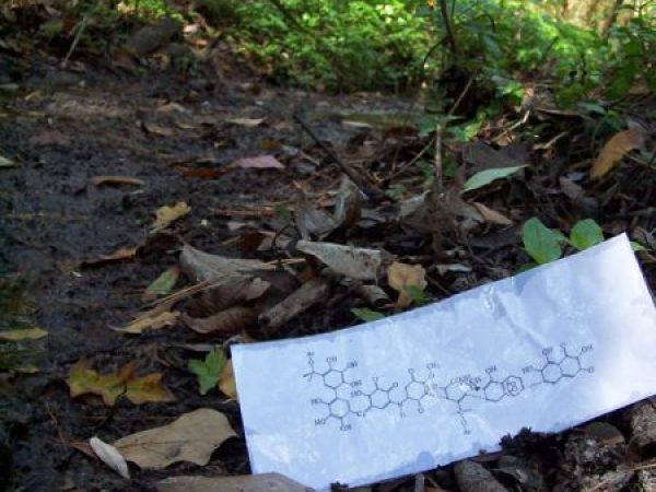 Photo of chemical structure illustration on paper in a forest