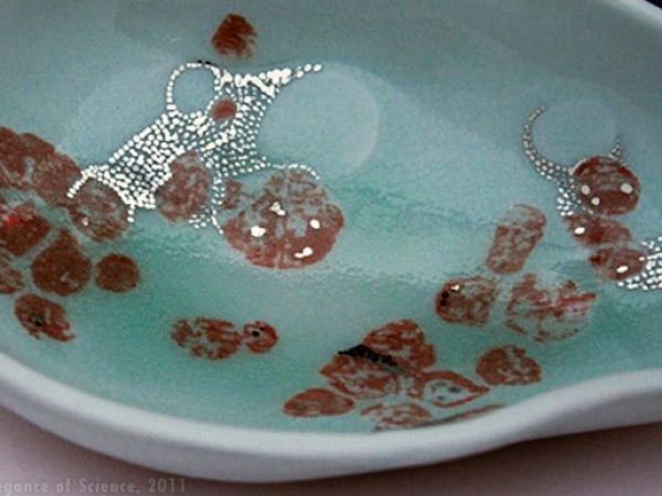 magnified images of tissue painted on ceramic