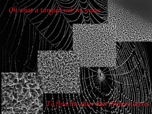 Photos of the surface of a Germanium crystal combined with a spider web image