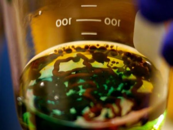 Alginate is a compound derived from algae