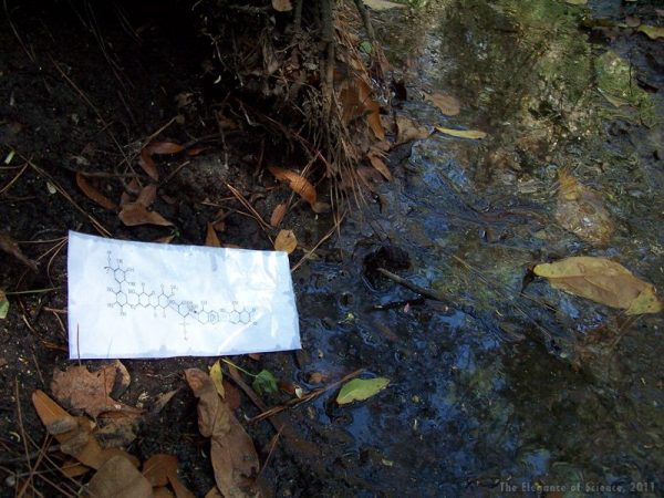 Photo of chemical structure illustration on paper floating in water