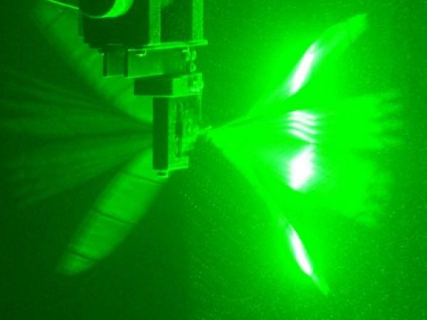 laser studying wing flapping of hummingbirds and bees