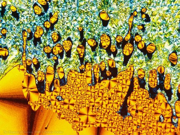 magnification of synthesized material