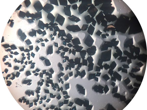 Crystals by Jessica Tami: This is an image showing the brilliant blue color of an iron-cobalt cubic complex. When we think of metals, I would bet the first picture that comes to mind is a car, or huge pipes. But metals can exist in many different forms. The reason we see a color is because the iron and cobalt exist in their ionic forms and interact with each other through their electrons. In order to make perfect, uniform crystals, scientists need to ensure that their samples are pure, and that they are undisturbed during the crystallization process. From this image, we can see the beautiful side of science: gorgeous colors and satisfying, symmetrical shapes.