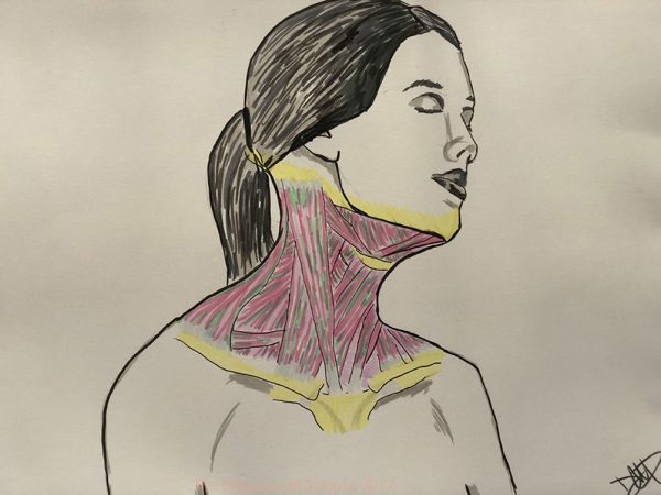 Skin deep by Deepa Danan: This is a marker drawing highlighting the muscular anatomy of the neck. As a head and neck surgeon, I see patients with benign and malignant tumors of the mouth, throat, voicebox, face, and neck. When evaluating patients, we have to look beneath the surface to understand exactly where the problem lies and how we can remove the pathology without damaging the surrounding structures which are vital to our daily functions of speech, swallow, and breathing, as well as appearance. We have to be able to see both the problem and the person at the same time, while understanding the delicate balance between form and function.