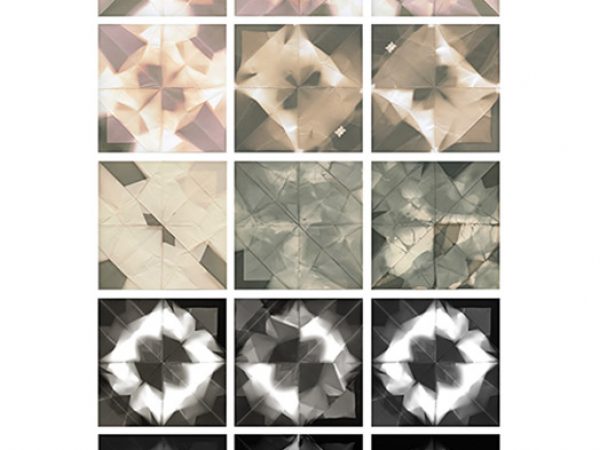 Diurnal/Nocturnal by Joshua P Hobson: This work seeks to address the conditions and attributes of photography as well as the human tendency towards the creation of taxonomies. The desire to categorize, organize and simplify is one of the common human responses to the strange, unexplained and chaotic. This impulse has come to dominate the way we deal with new phenomena. Photography has been utilized since its invention to create and expand archival systems. Pictures transform the nameless into the named, the unwieldy into the static. Inherent in the medium is an impulse to organize. Using origami forms of insects I created a series of photographs and photograms. To provide structure and form to my process, I used natural systems such as life/death, metamorphosis and diurnal/nocturnal as guides. I then translated these models into structures for photographic production that dictate the number of total images, the positioning of origami forms and the duration of exposures.